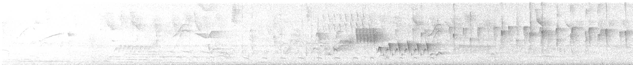 Gray-capped Tyrannulet - ML646896858