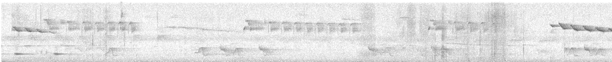 Pin-tailed Manakin - ML646896866