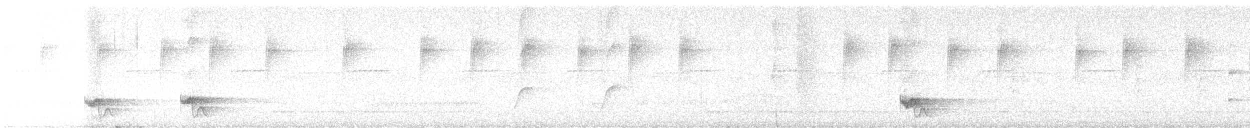 Weißstern-Todityrann - ML646897010