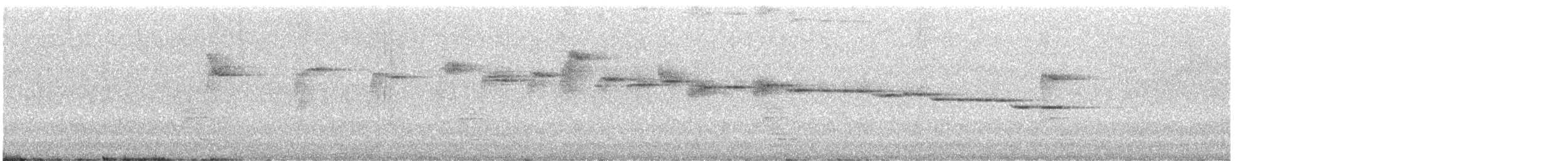 paranáparula - ML646897063