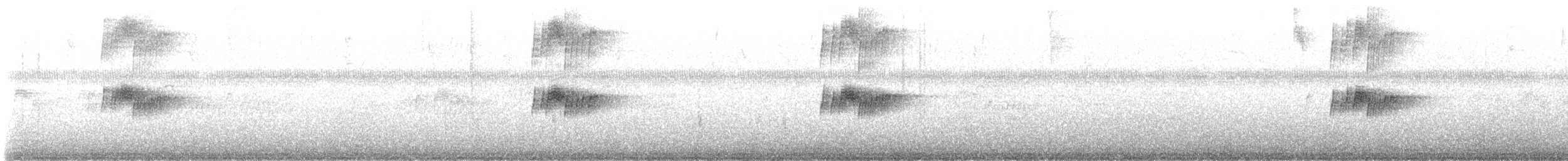 ハイイロタイランチョウ - ML646897236