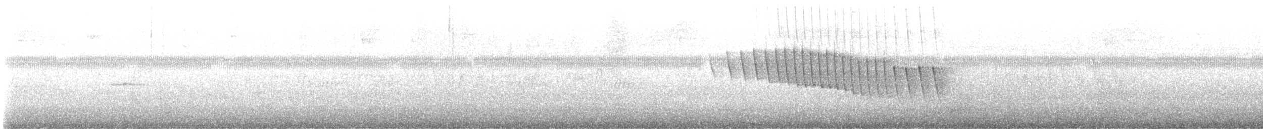 キバラアメリカムシクイ - ML646897249