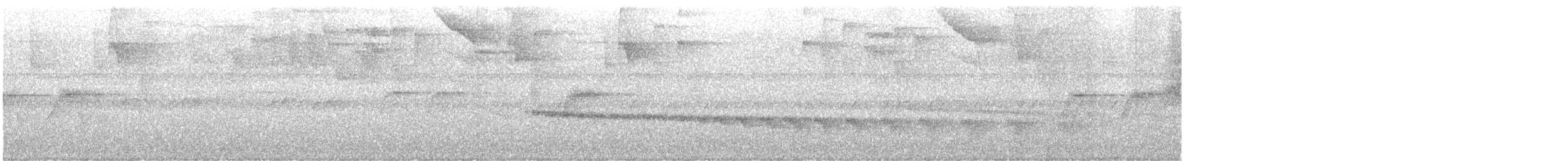 Ak Karınlı Karıncakuşu - ML646897560