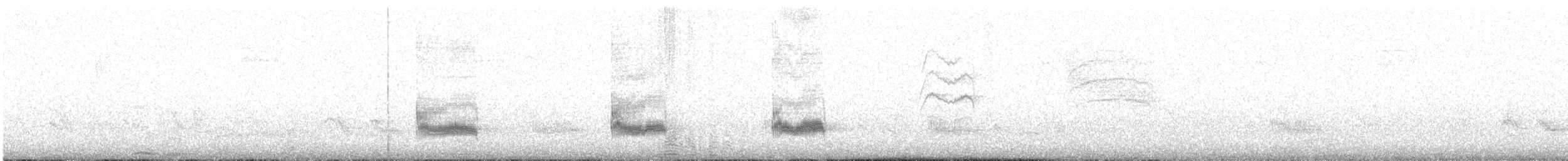 Тропический пересмешник - ML646897671