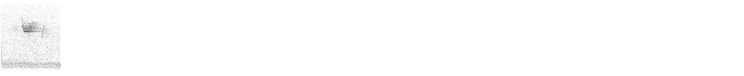 ノドジロシトド - ML646897765