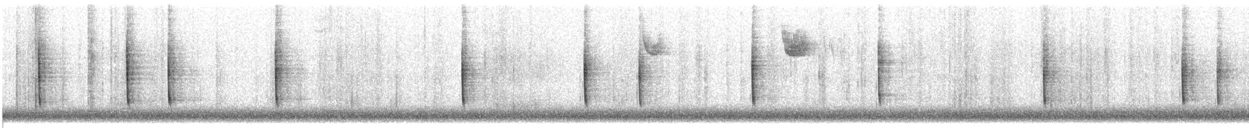 ショウジョウコウカンチョウ - ML646897793