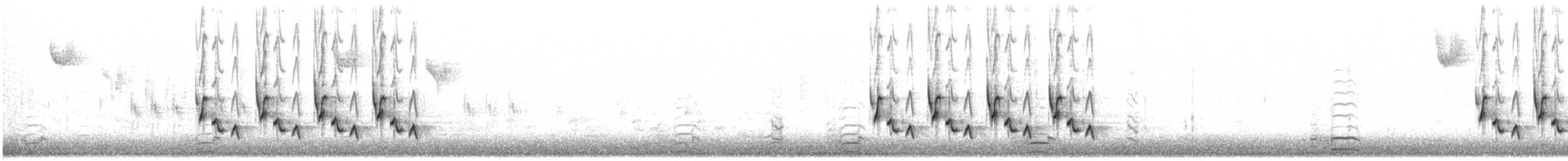 Carolina Wren - ML646897820