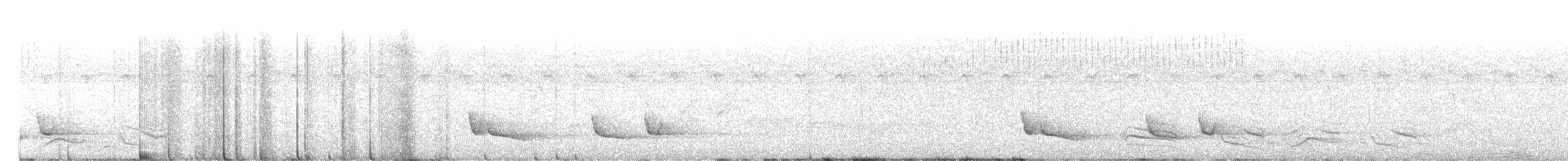 African Emerald Cuckoo