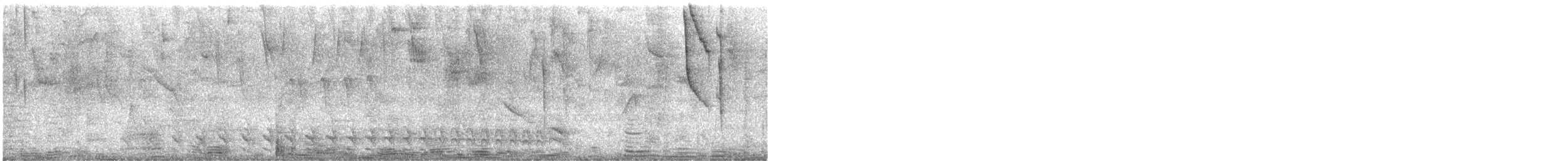 Bindenameisenwürger - ML646897901