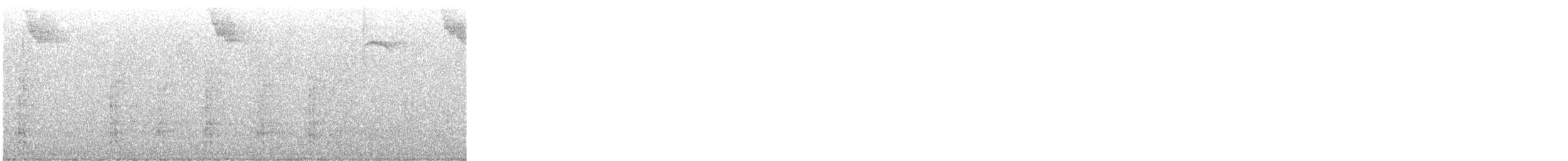 karančo jižní (ssp. plancus) - ML646897977