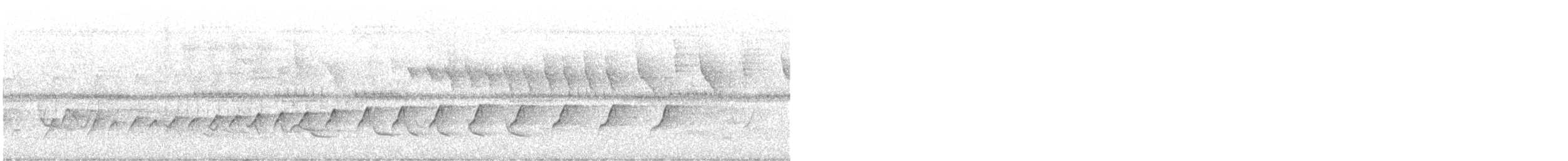 hvitvingebekard - ML646897984