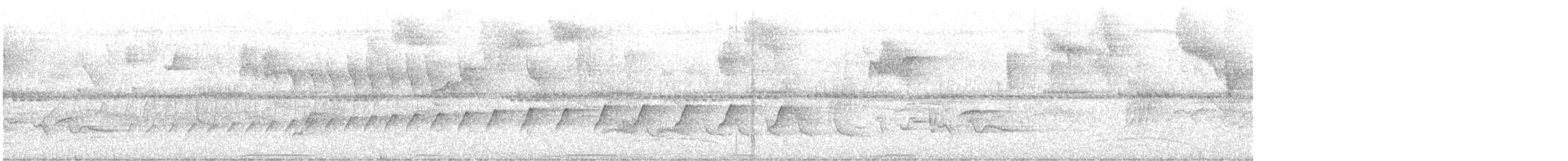 hvitvingebekard - ML646897988