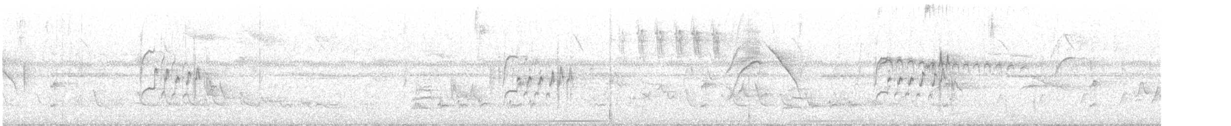 sørglattyrannulett (obsoletum gr.) - ML646897993