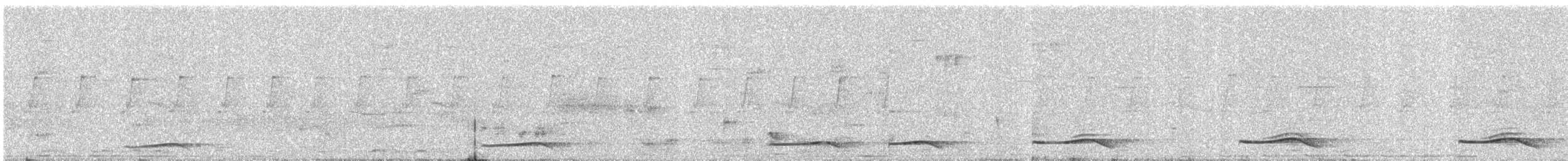 grønnebbkoel - ML646898014