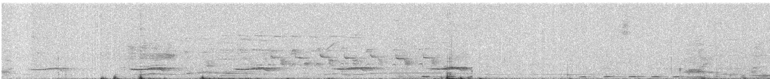 grønnebbkoel - ML646898025