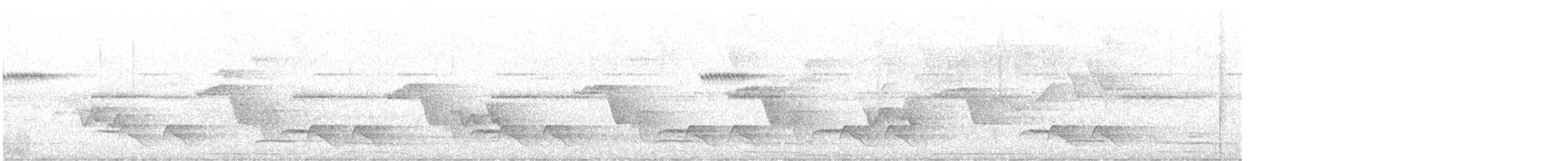 skjeggsmett - ML646898027