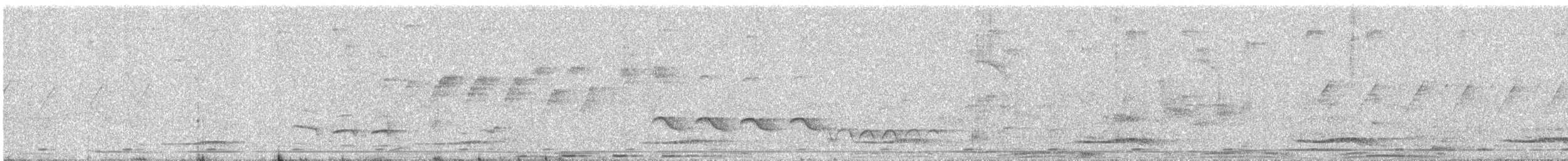 Greater Coucal - ML646898145