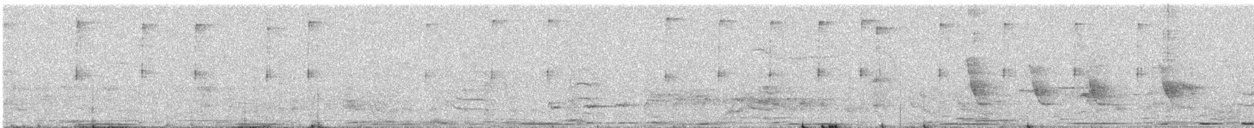 Greater Coucal - ML646898156