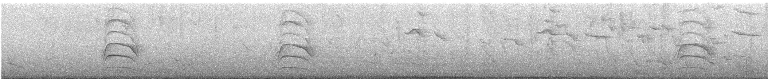 Great Kiskadee - ML646898204