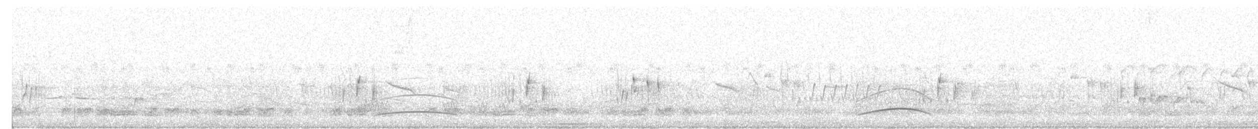 Буланый миарх - ML646898366