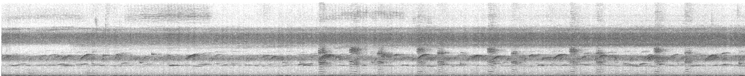 Тако пуерто-риканський - ML646898406