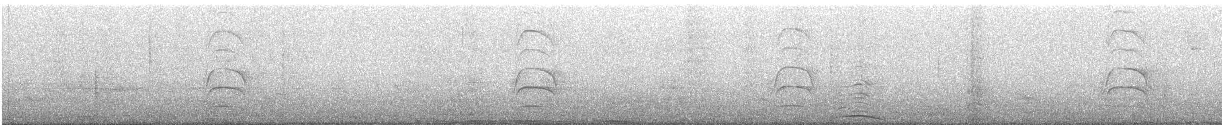 Большой бентеви, кискади - ML646898439