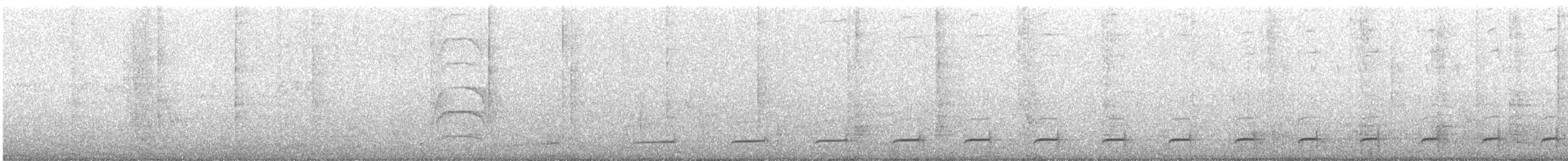 Two-banded Puffbird - ML646898502