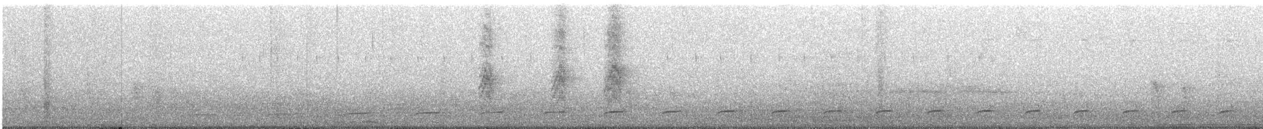 Two-banded Puffbird - ML646898555