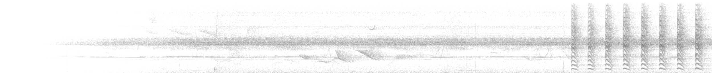 Яструб неотропічний - ML646898912