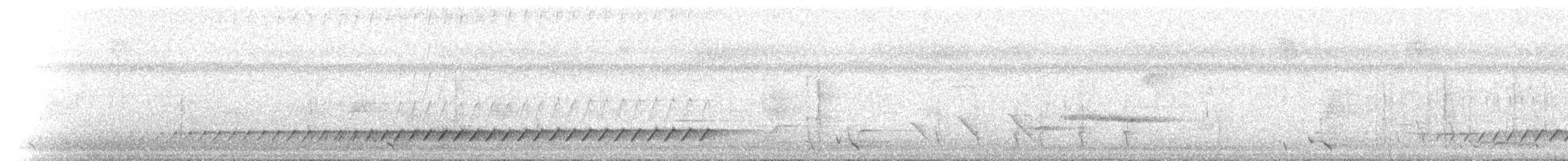 テリヒラハシ - ML646899808