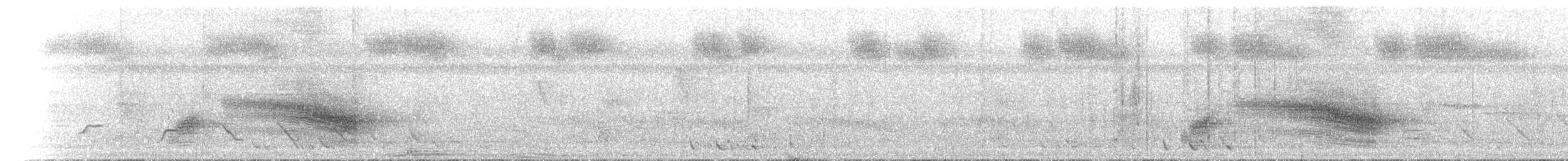 テリヒラハシ - ML646899811