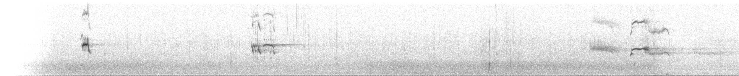 オオアジサシ - ML646899847