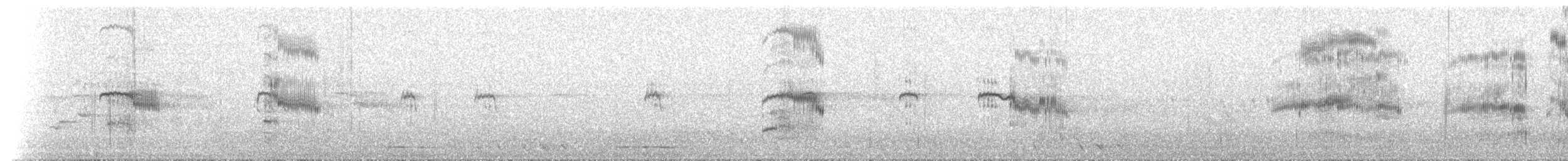 オオアジサシ - ML646899852