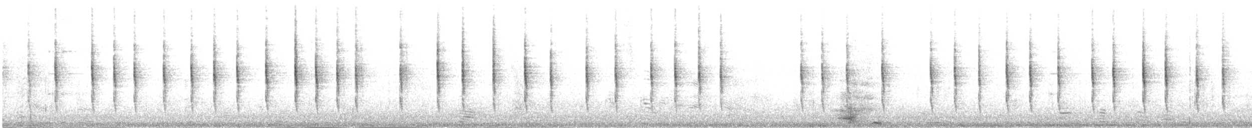 Волове очко (підвид indigenus) - ML646899945