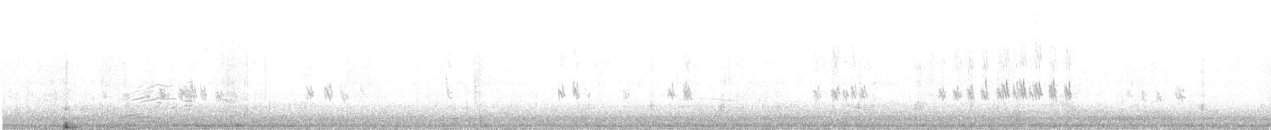 Organetto (ssp. cabaret) - ML646899955