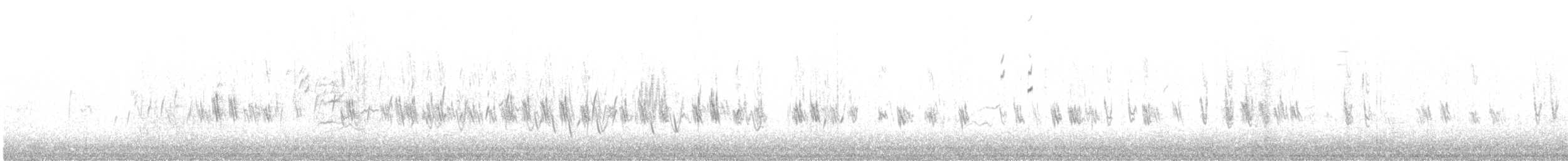 Redpoll (Lesser) - ML646899957