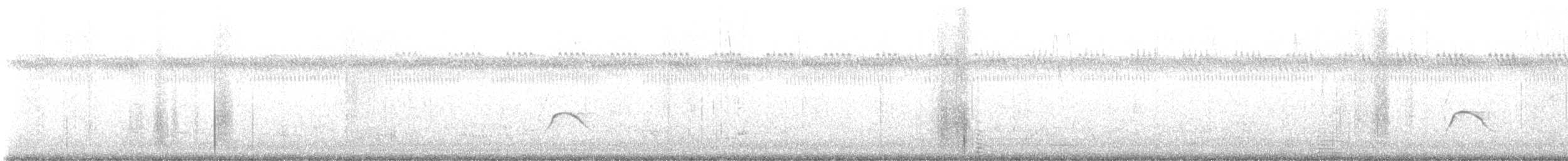 Lesser Elaenia - ML646900210