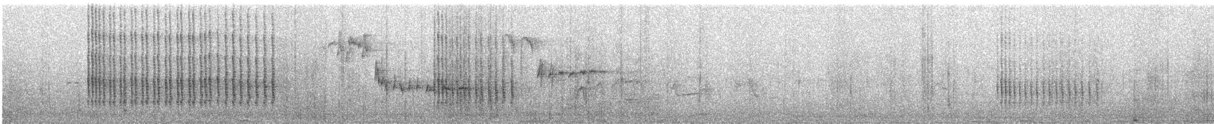 Belted Kingfisher - ML646900255