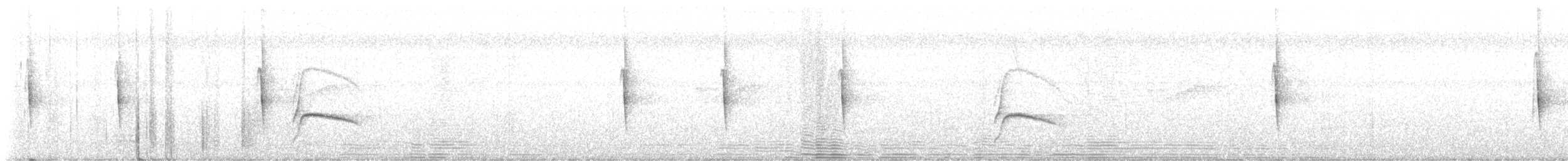 Black-throated Antbird - ML646900622