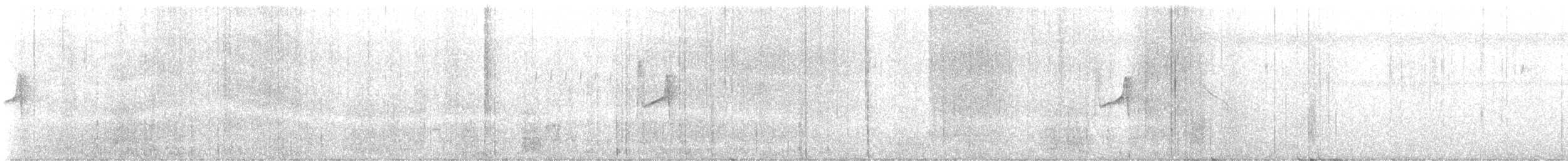 Black-throated Antbird - ML646900623