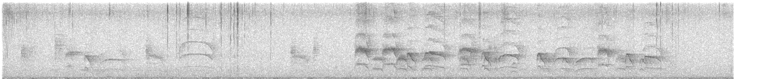 Great Kiskadee - ML646901199