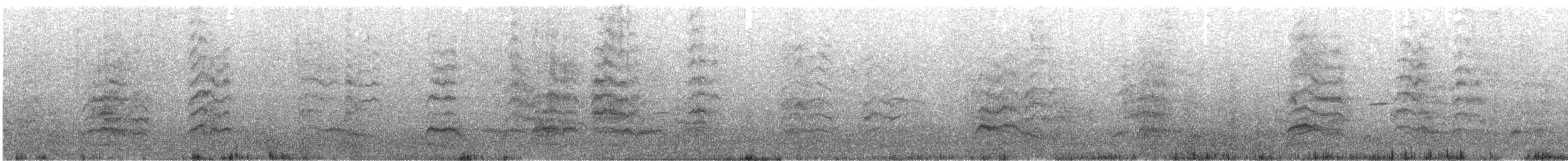 Gaviota Reidora - ML646901516