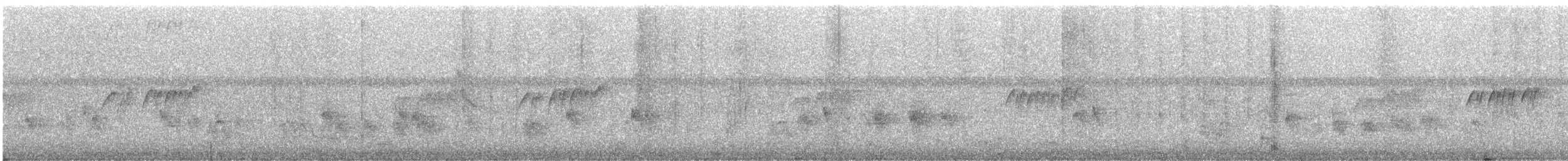 Minivet Ceniciento - ML646901779