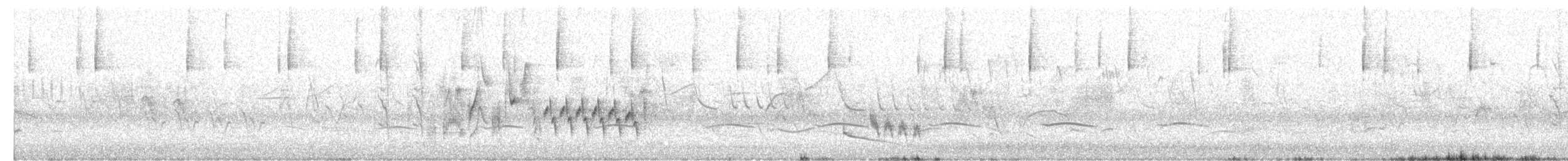 Southern House Wren - ML646901962