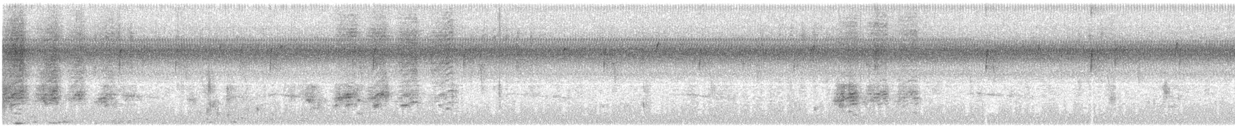 Herrerillo Bicolor x Crestinegro (híbrido) - ML646902705