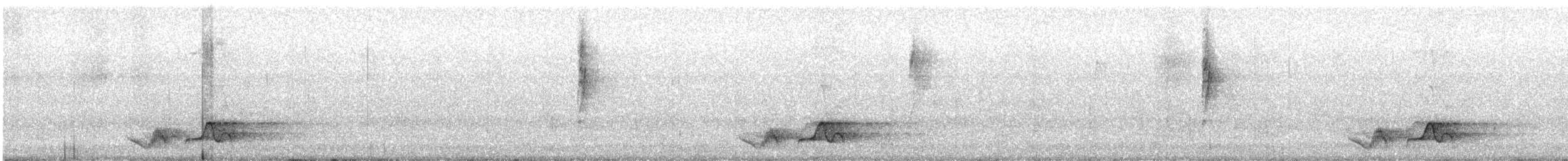 Charlatán Orejiplateado - ML646902801