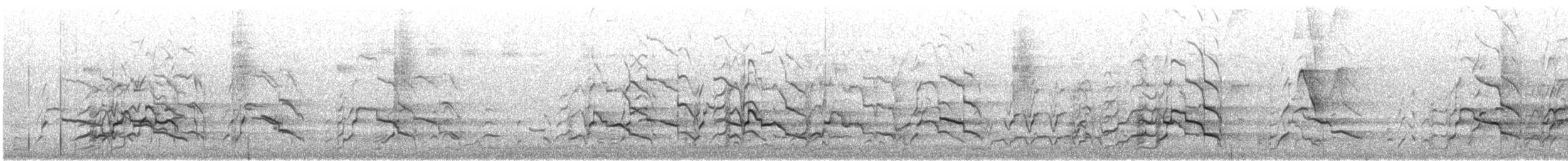 Cacatúa (Calyptorhynchus) sp. - ML646902927