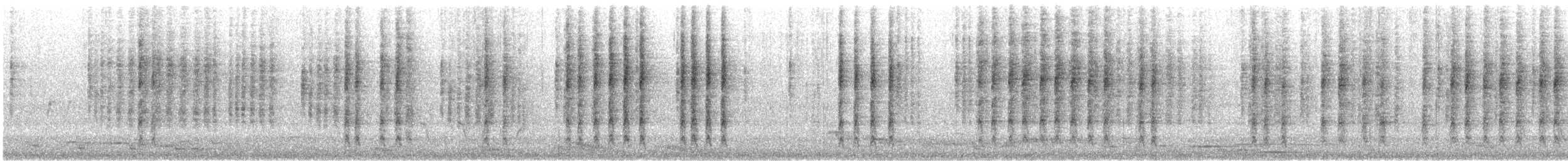 Méliphage de Nouvelle-Hollande - ML646902931