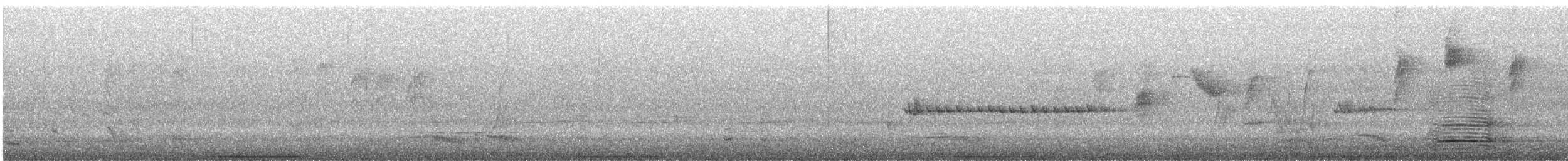 Paloma Bronce Común - ML646902942