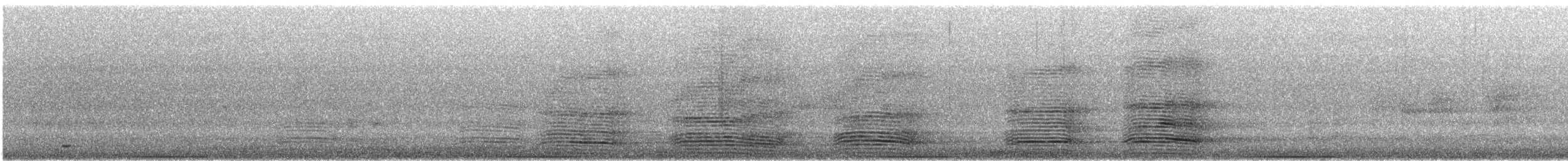 Paloma Bronce Común - ML646902943